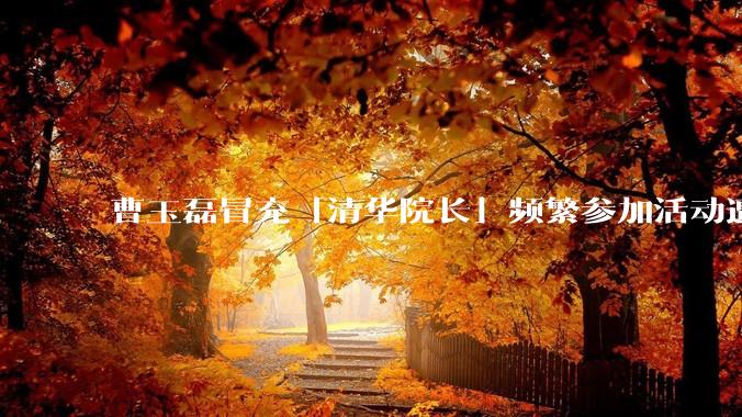 曹玉磊冒充「清华院长」频繁参加活动遭官方打***，他为何能堂而皇之以***身份开展活动？其将受到哪些处罚？